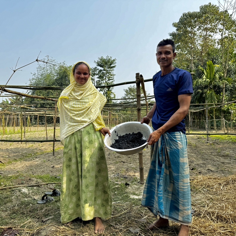 Permanente CO₂‑verwijdering met biochar in India