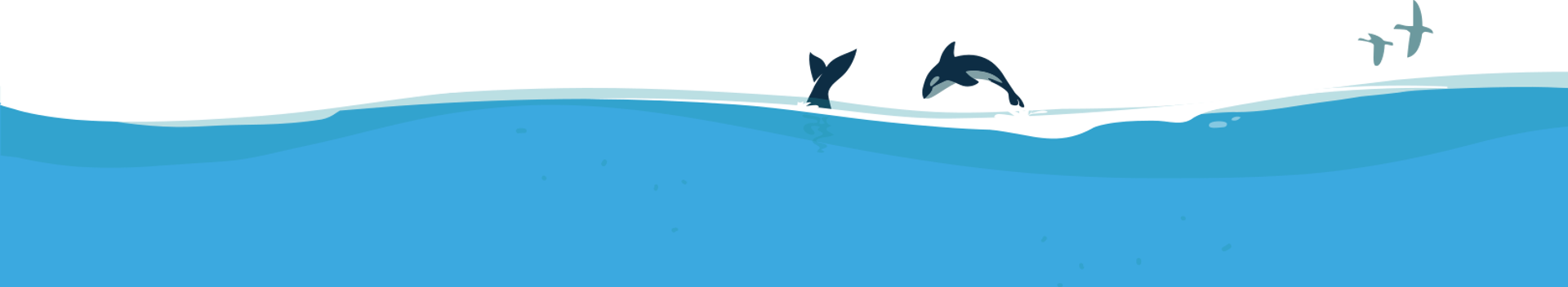 ORCA illustratie
