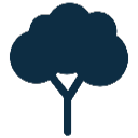 Bomen die een jaar moeten groeien icoontje