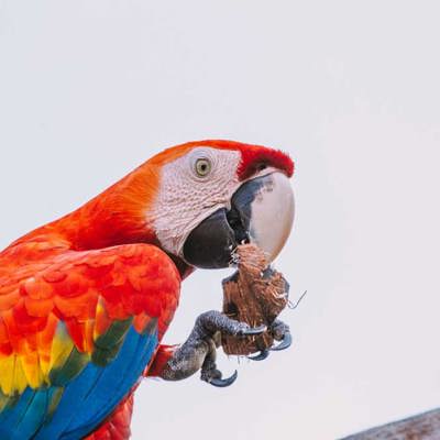 Foto bij de beschrijving van het project