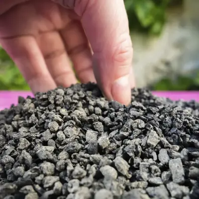 Biochar in Frankrijk: CO₂-opslag en vruchtbare bodems