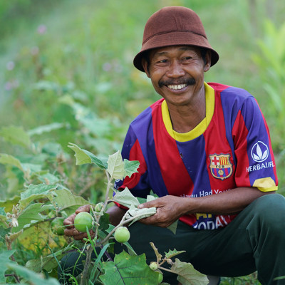 Katingan Mentaya: Klimaatactie in Borneo