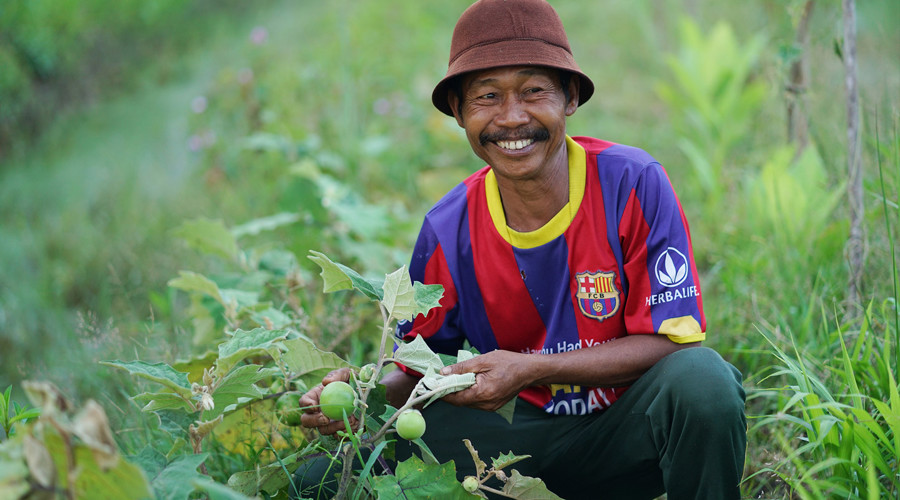 Katingan Mentaya