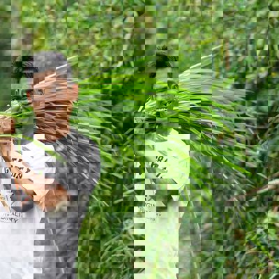 Foto bij de beschrijving van het project