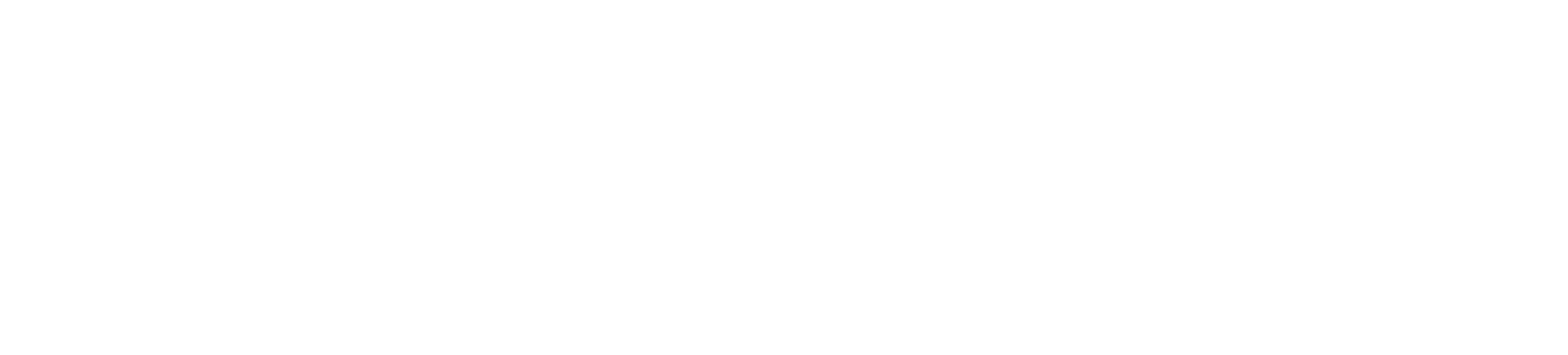 ORCA logo wit
