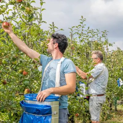 Foto bij onderdeel Impact